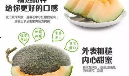 吃蜜瓜的禁忌,食用禁忌需留心