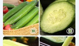 孕妇可以吃小圆瓜,小圆瓜助力母婴健康