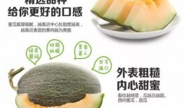 黄河蜜瓜糖尿病可以吃么,糖尿病患者的甜蜜选择？