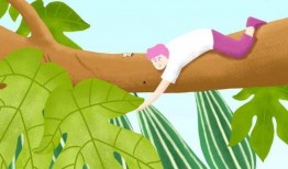 夏日吃瓜手册,跟随吃瓜手册畅享清凉时光