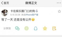 吃瓜爆料栏目名称,吃瓜爆料栏目深度解析