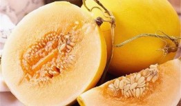 黄河蜜瓜糖尿病可以吃么,糖尿病患者的甜蜜选择？