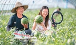 吃瓜的职业,揭秘吃瓜职业的幕后故事