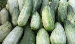 烂酥瓜怎么吃,解锁夏日清新美味