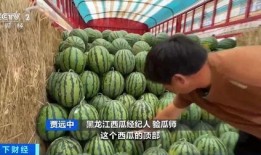 今年吃瓜集合,盘点那些让人笑掉大牙的娱乐圈大事件