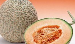 coser吃哈密瓜,甜蜜瞬间，定格美好