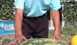 每人吃100斤瓜,每人百斤共享丰收喜悦