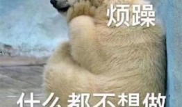 吃瓜群众吃瓜合集图片,趣味横生的视觉盛宴