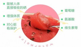 机智的吃瓜人,洞察人生百态