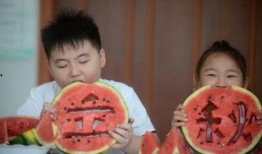 吃瓜姐弟的日常,揭秘娱乐圈背后的温馨故事