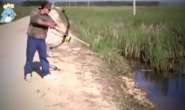 吃瓜的钓鱼佬,揭秘渔夫生活中的趣味与智慧