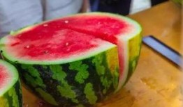 乔羽学校 吃瓜,揭秘校园里的“吃瓜”文化