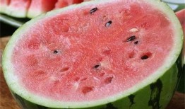 麒麟瓜儿童可以吃吗,儿童适宜食用的健康美味选择