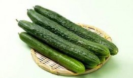 赖瓜吃的,探寻民间美食的独特魅力