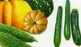 大汉吃瓜现场,揭秘宫廷秘闻，笑料百出