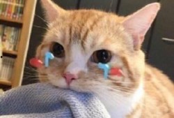 机智的吃瓜人,洞察人生百态