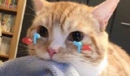 机智的吃瓜人,洞察人生百态