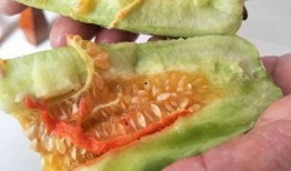 烂酥瓜怎么吃,解锁夏日清新美味