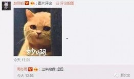 机智的吃瓜人,洞察人生百态