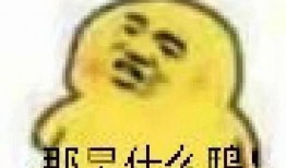 吃瓜后续表情包,揭秘吃瓜后续表情包背后的趣味与智慧