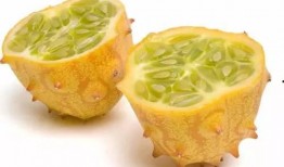 非洲水果火龙瓜怎么吃,多样食用方法探索