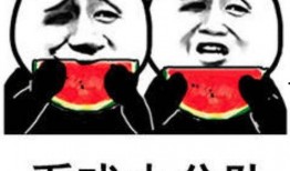 吃瓜后续表情包,揭秘吃瓜后续表情包背后的趣味与智慧