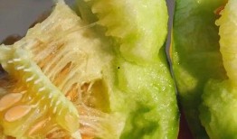 香香吃瓜的时候,揭秘娱乐圈幕后故事