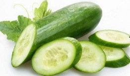 最早吃瓜,揭秘最早吃瓜者的神秘故事