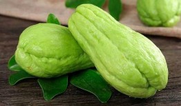 白佛瓜怎么吃,解锁美味新境界