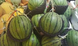 梁城吃瓜,揭秘吃瓜群众的狂欢盛宴