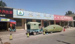 集宁区吃瓜,瓜果飘香，品味生活新篇章