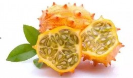 非洲水果火龙瓜怎么吃,多样食用方法探索