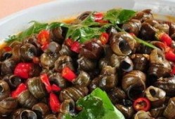 吃田螺可以吃瓜吗,探寻夏日美食搭配新主张